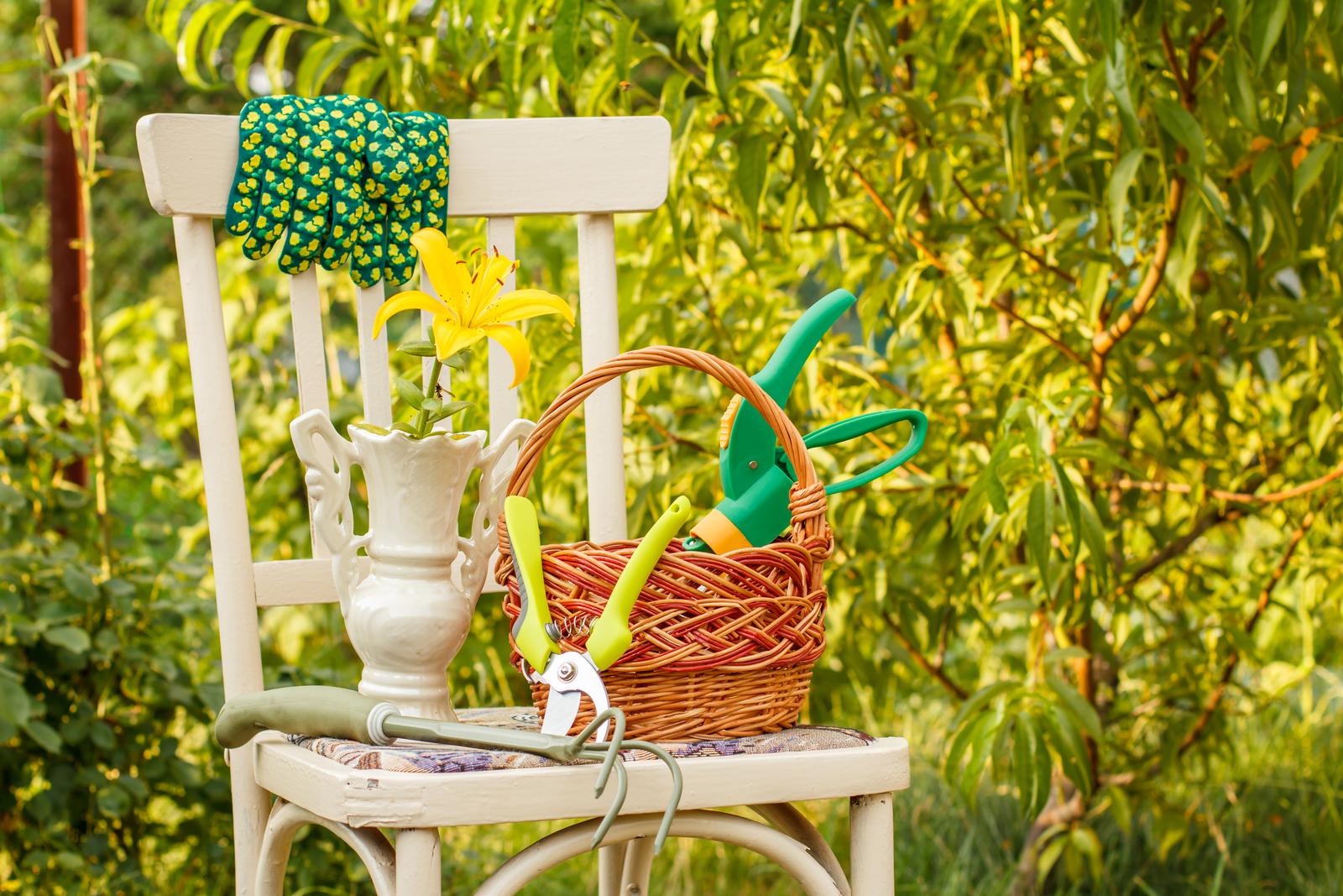 Wicker basket and garden tools on old chair in the natural background.